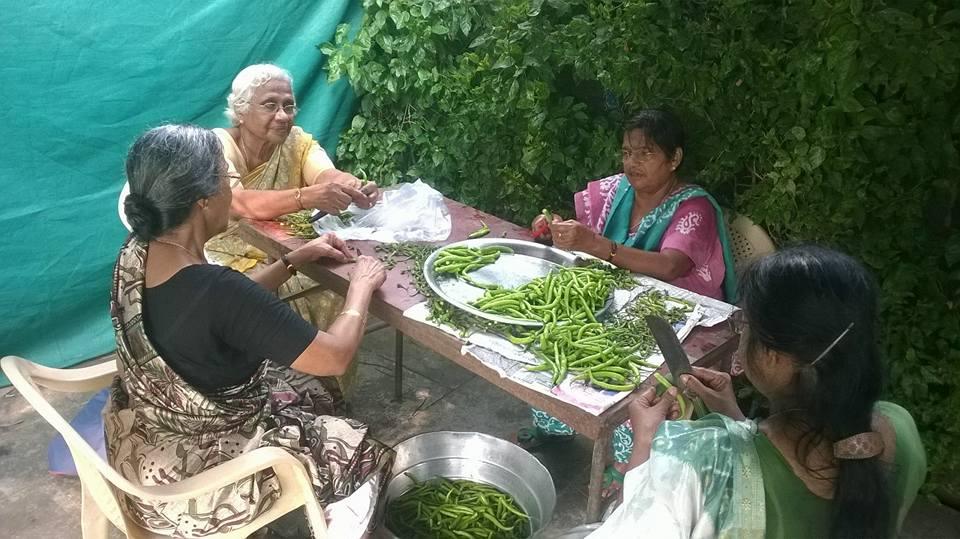 Fish Pickle Preparation 2015