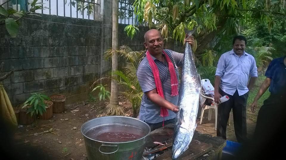 Fish Pickle Preparation 2015