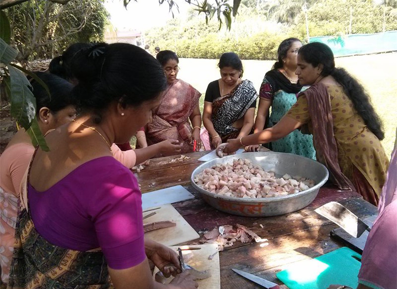 Fish Pickle - 2013