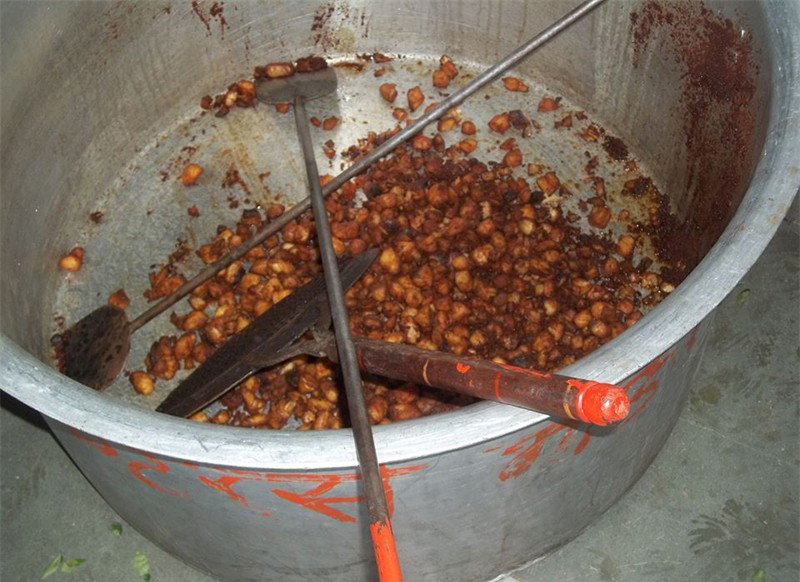 Fish Pickle - 2013